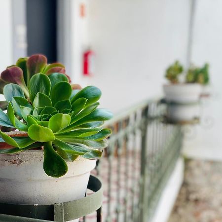 Kuku Ruku Hotel Querétaro Екстериор снимка
