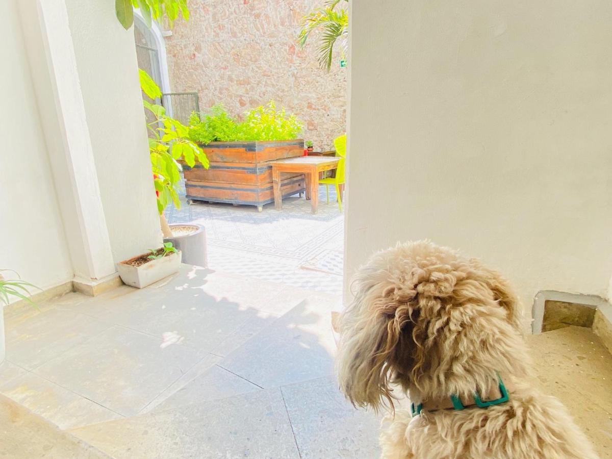 Kuku Ruku Hotel Querétaro Екстериор снимка