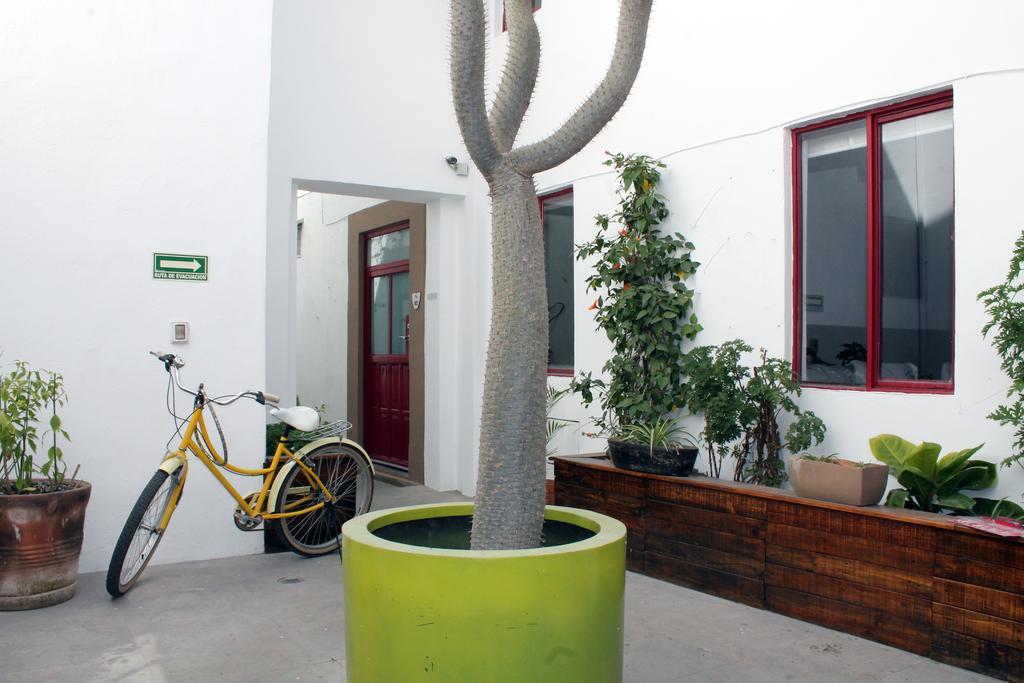Kuku Ruku Hotel Querétaro Екстериор снимка